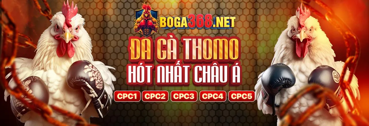 Quy trình hợp tác SV88
